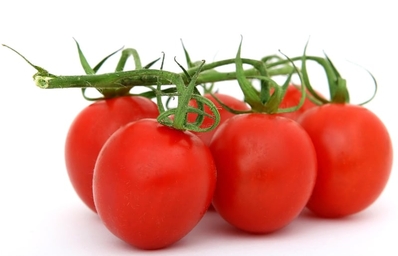 Healthy Nutrition
