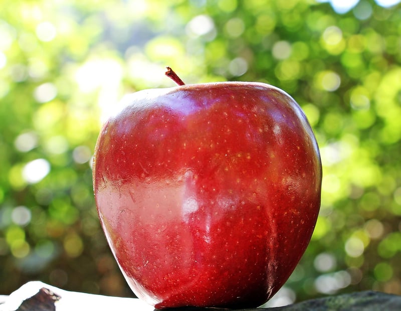 Healthy Nutrition