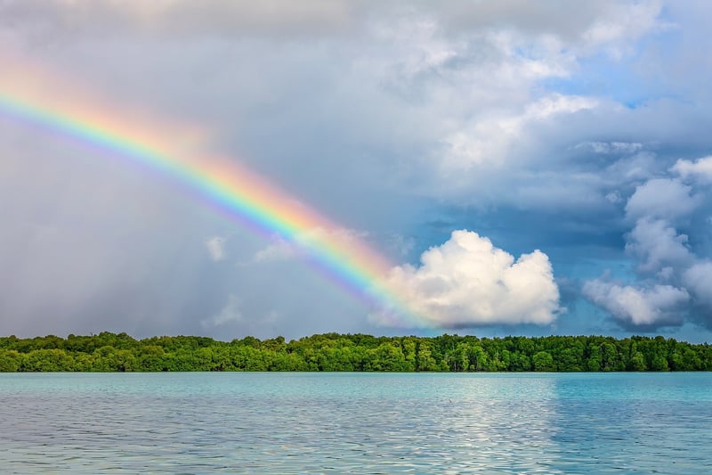 Nature Inspiration